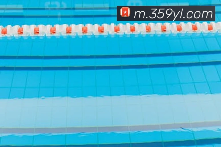 永利国际APP 封面图